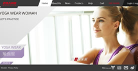 廈門佐納體育用品有限公司網(wǎng)站建設